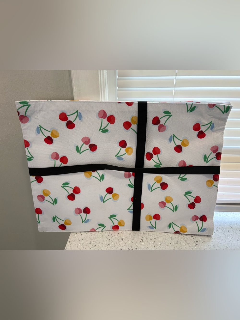 NEW Kate Spade New York Summer Cherry Set of 4 Placemats